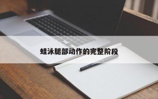 蛙泳腿部动作的完整阶段