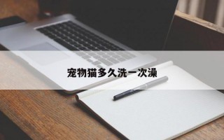 宠物猫多久洗一次澡