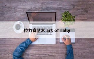 拉力赛艺术 art of rally