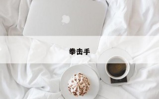 拳击手