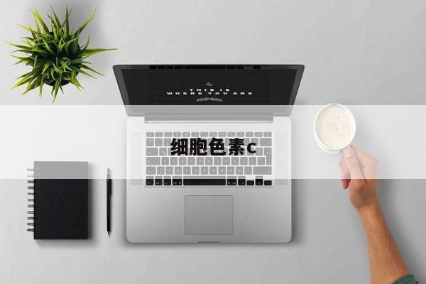 细胞色素c-第1张图片-百科网-生活百科,科技百科,汽车百科,财经百科,情感百科,数码百科,旅游百科,运动百科,宠物百科,花鸟鱼虫等百科大全