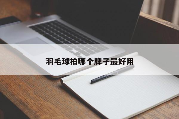 羽毛球拍哪个牌子最好用-第1张图片-百科网-生活百科,科技百科,汽车百科,财经百科,情感百科,数码百科,旅游百科,运动百科,宠物百科,花鸟鱼虫等百科大全