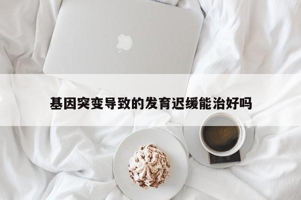 基因突变导致的发育迟缓能治好吗-第1张图片-百科网-生活百科,科技百科,汽车百科,财经百科,情感百科,数码百科,旅游百科,运动百科,宠物百科,花鸟鱼虫等百科大全