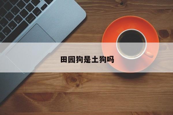 田园狗是土狗吗-第1张图片-百科网-生活百科,科技百科,汽车百科,财经百科,情感百科,数码百科,旅游百科,运动百科,宠物百科,花鸟鱼虫等百科大全
