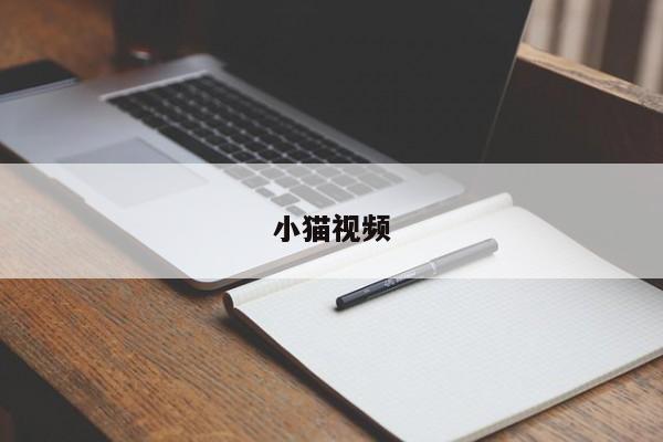 小猫视频-第1张图片-百科网-生活百科,科技百科,汽车百科,财经百科,情感百科,数码百科,旅游百科,运动百科,宠物百科,花鸟鱼虫等百科大全